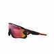 Oo9290-20 Mens Oakley Jawbreaker Sunglasses