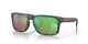 Oakley Holbrook Polarized Sunglasses Oo9102-j855 Woodgrain /prizm Shallow Water