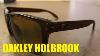 Oakley Holbrook Sunglasses Review Matte Brown