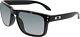 Oakley Men's Polarized Holbrook Oo9102-02 Black Square Sunglasses