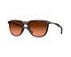 Oakley Sunglasses Oo9286 Thurso 928606 Brown Brown Man